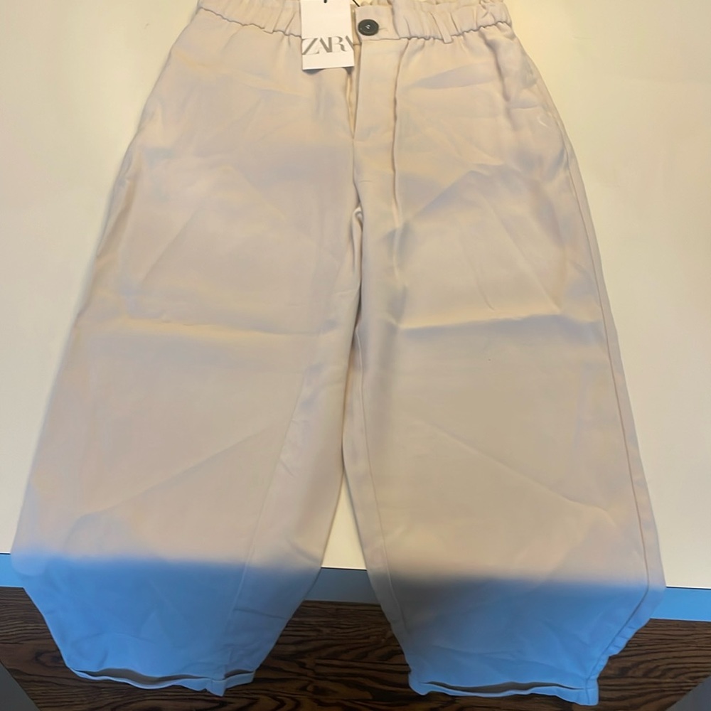 Zara dressy pants
